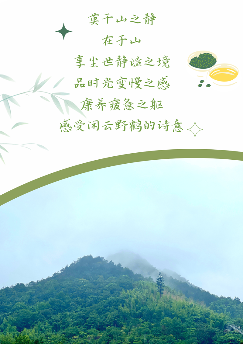 心心念廿 相伴pa视讯集团 | 与德清相约 贺廿载诞辰