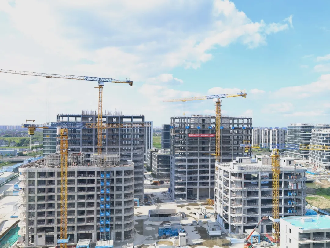 同心同向 造炬成阳 | pa视讯集团股份2024年第三季度动态速览